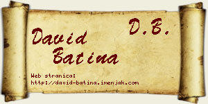 David Batina vizit kartica